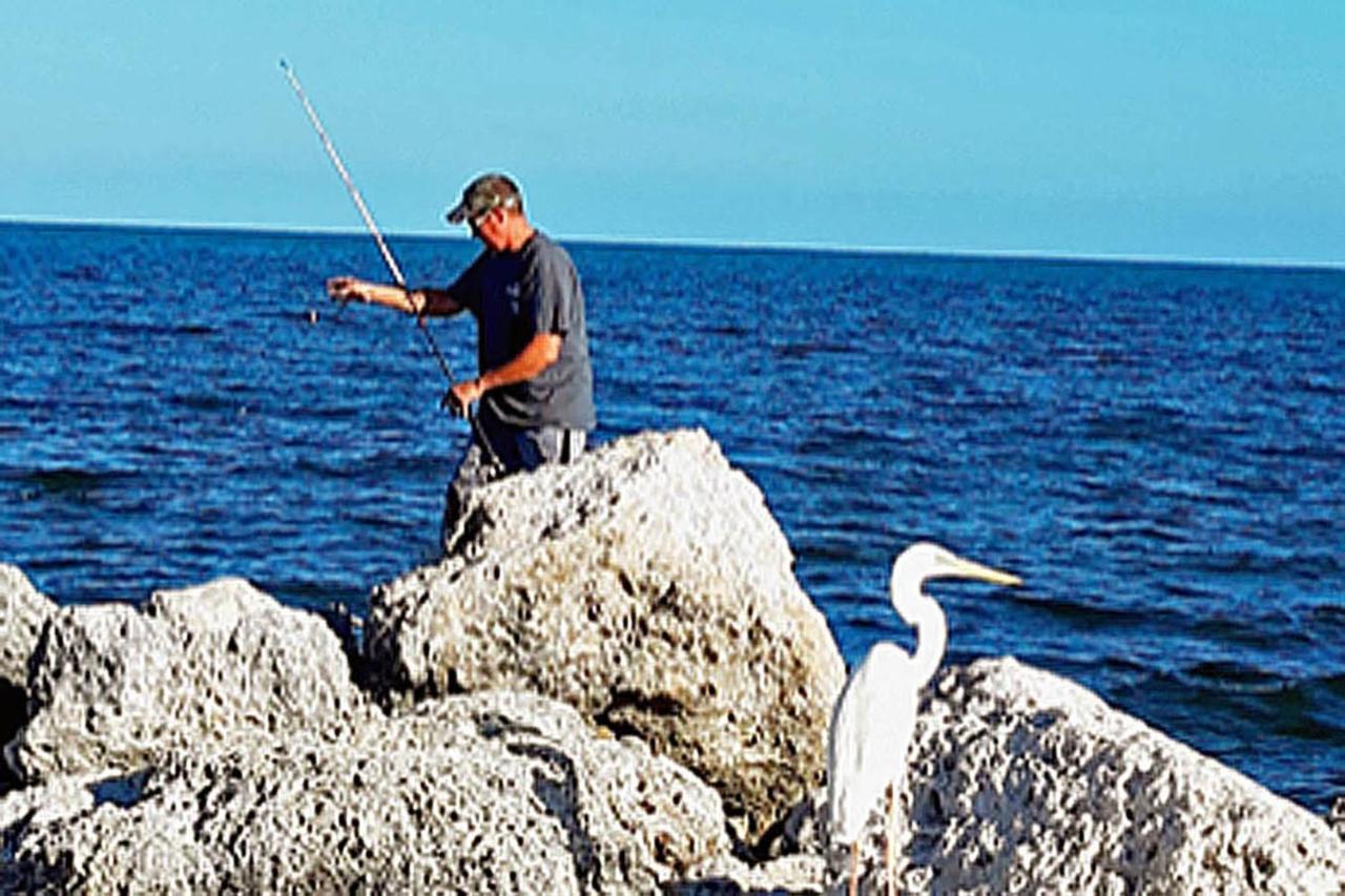 Sea Mist - Oceanfront-Lake-Kayak-Paddleboard-Bike Key Largo Esterno foto